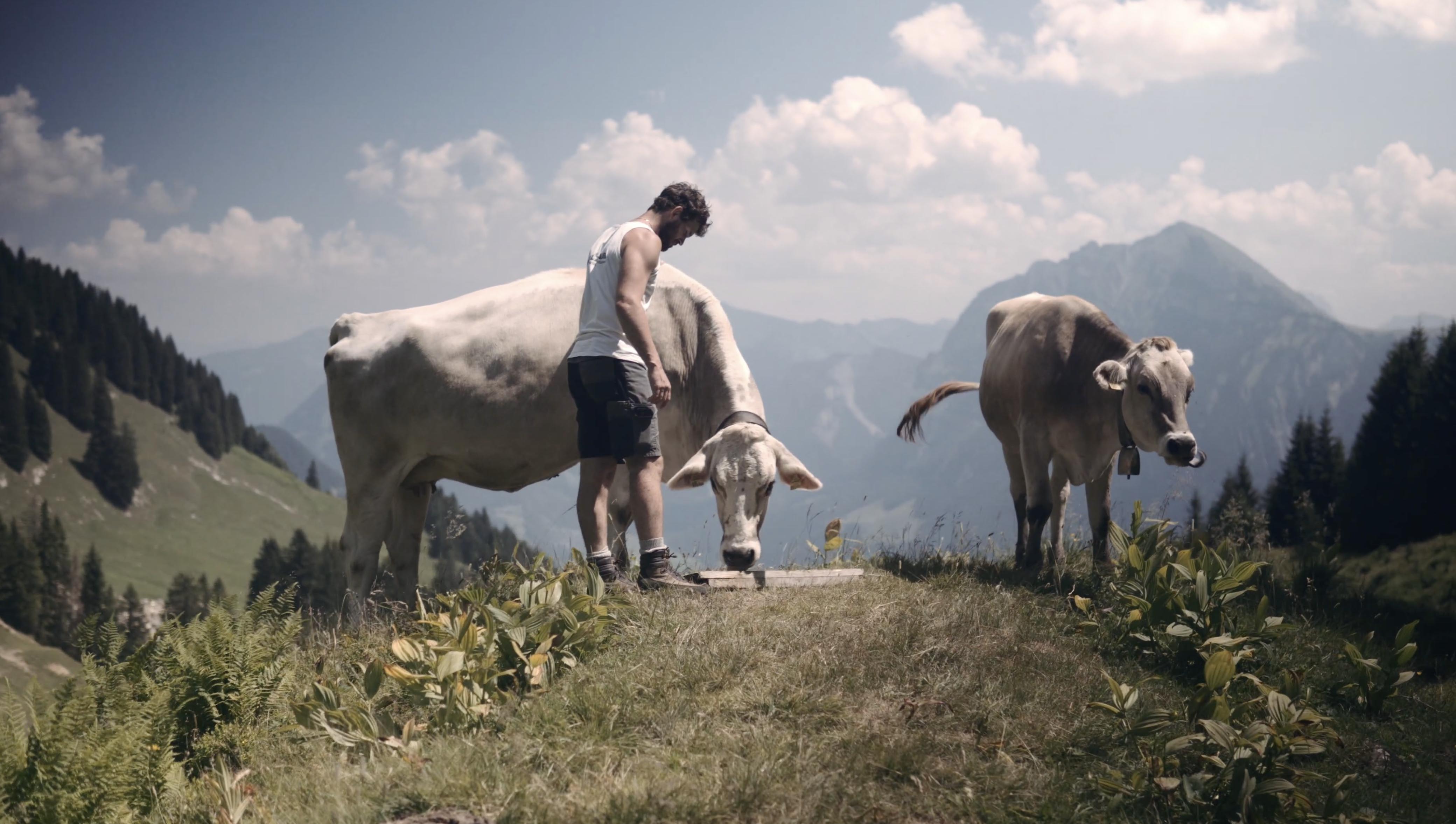 Social Media Kampagne für das EU geförderte Projekt "sennermeetsblogger"