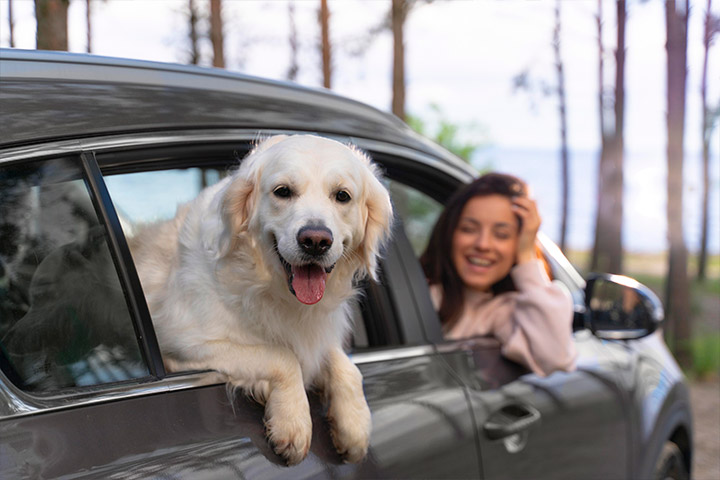 Cachorro peludo e branco com cabeça e patas para fora da janela de carro estacionado em floresta com sua dona sorrindo no assento da frente