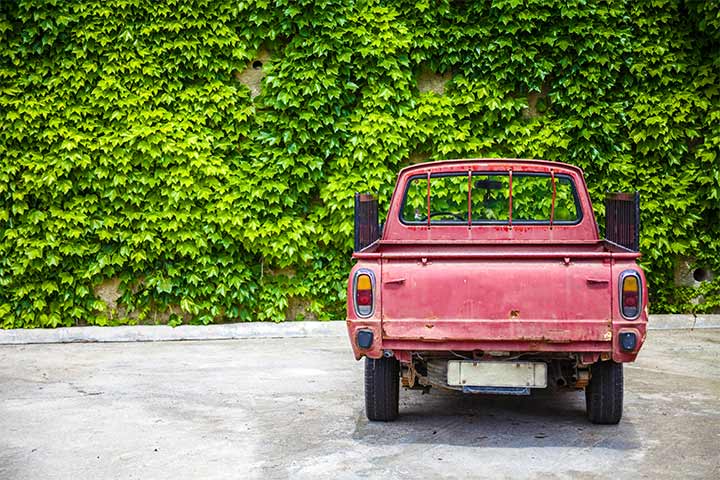 Antiga caminhonete vermelha sem parachoque traseiro estacionada em frente a muro coberto de vegetação