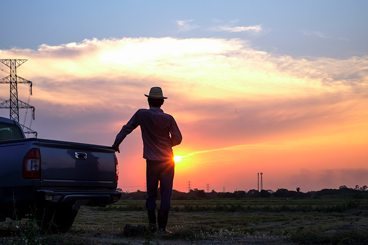 Agricultor apoiado em caçamba de caminhonete assistindo ao entardecer
