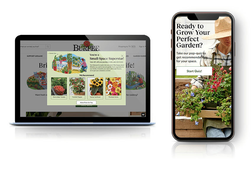 burpee quiz on desktop and mobile