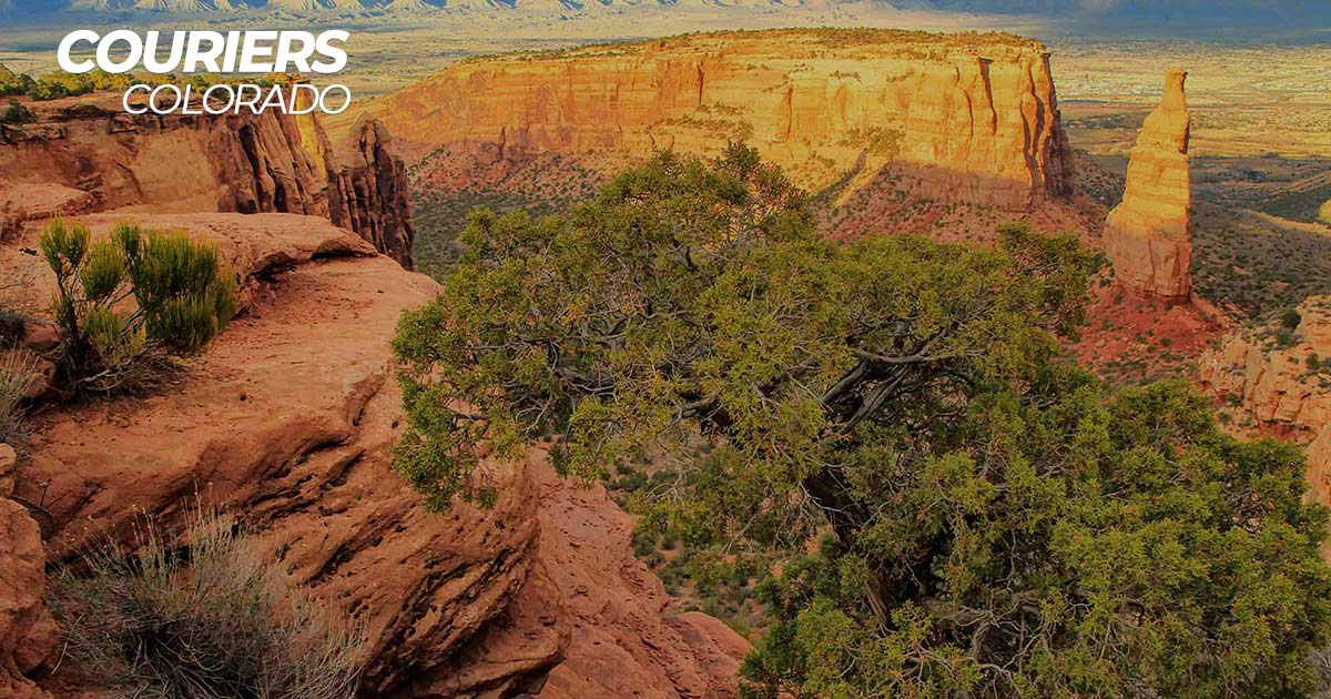 Grand Junction, CO Same Day Delivery & Courier Services Couriers