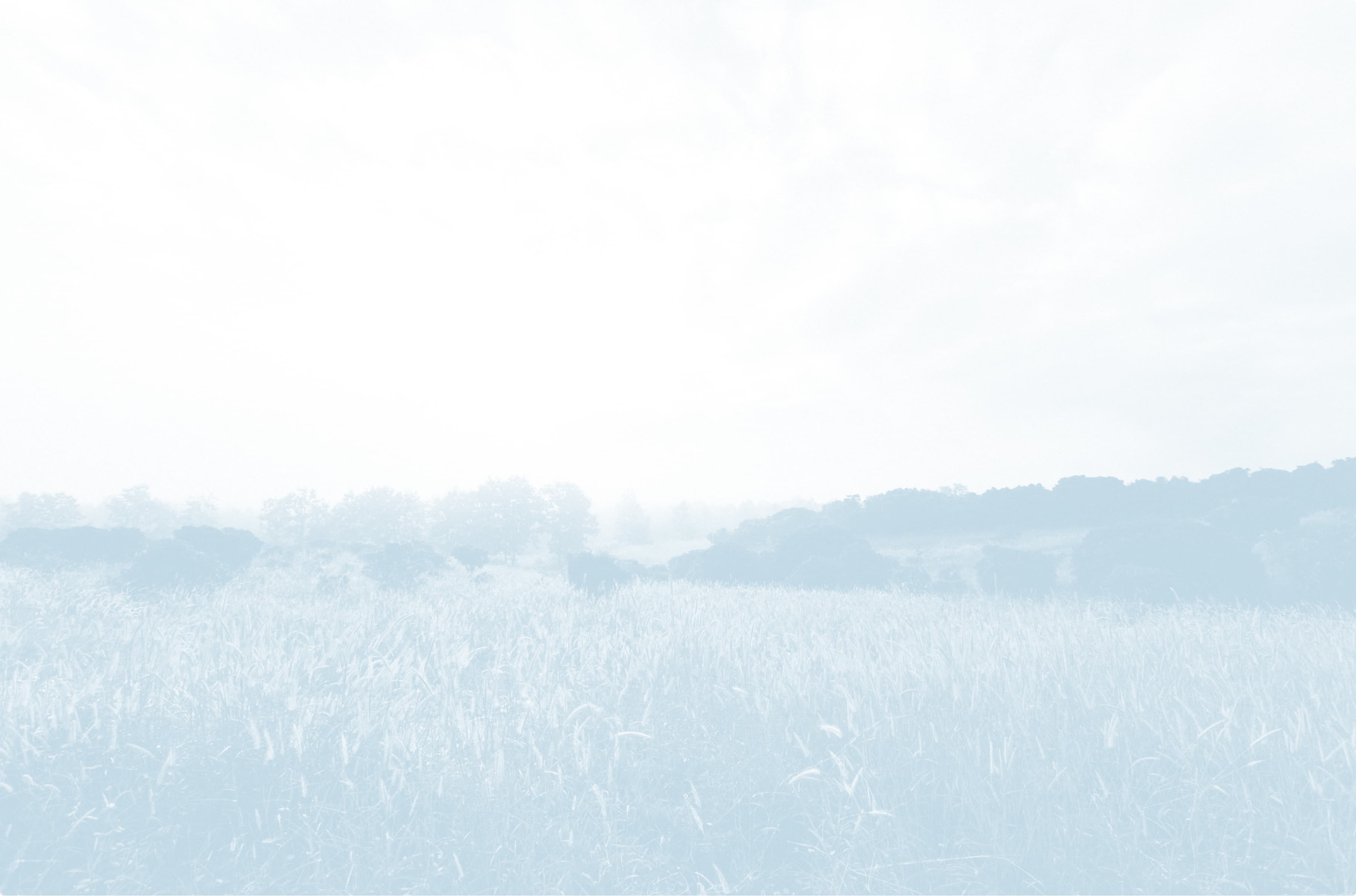 Medium shot of a grassy savannah.