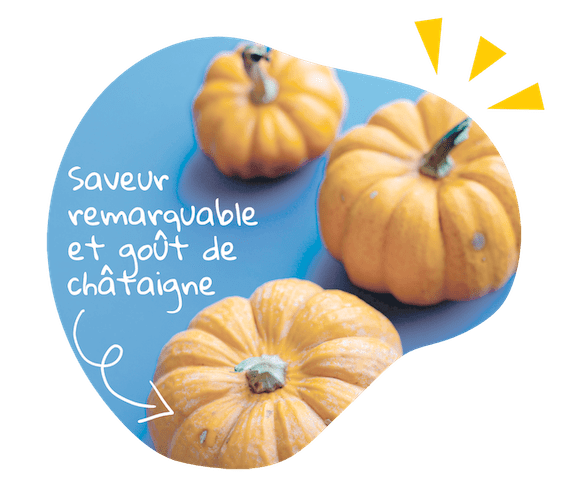 Stratégie éditoriale chez Talk.