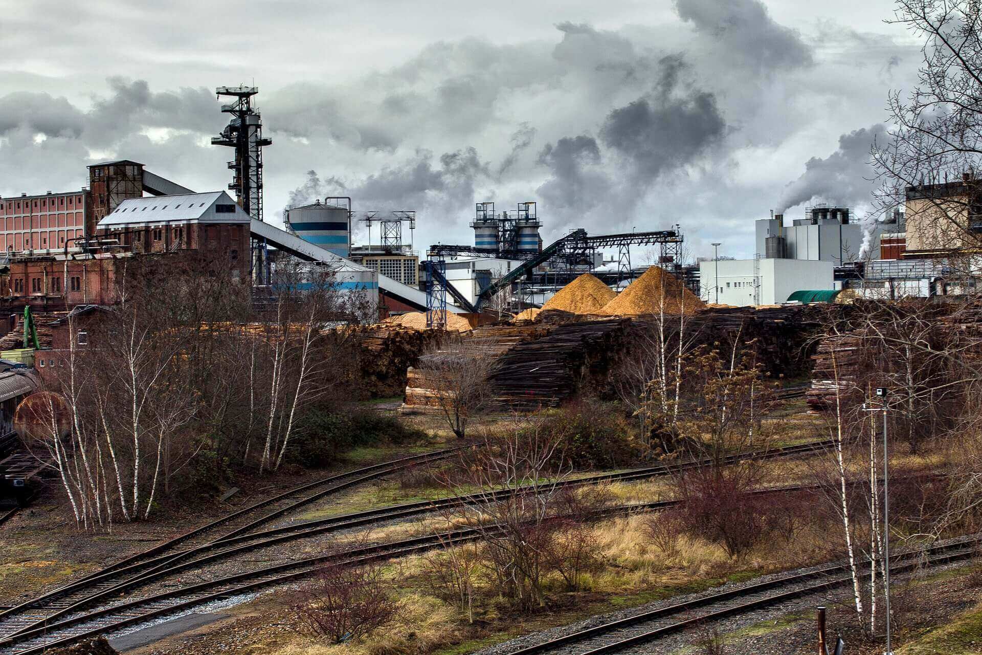 holz-und-papierindustrie