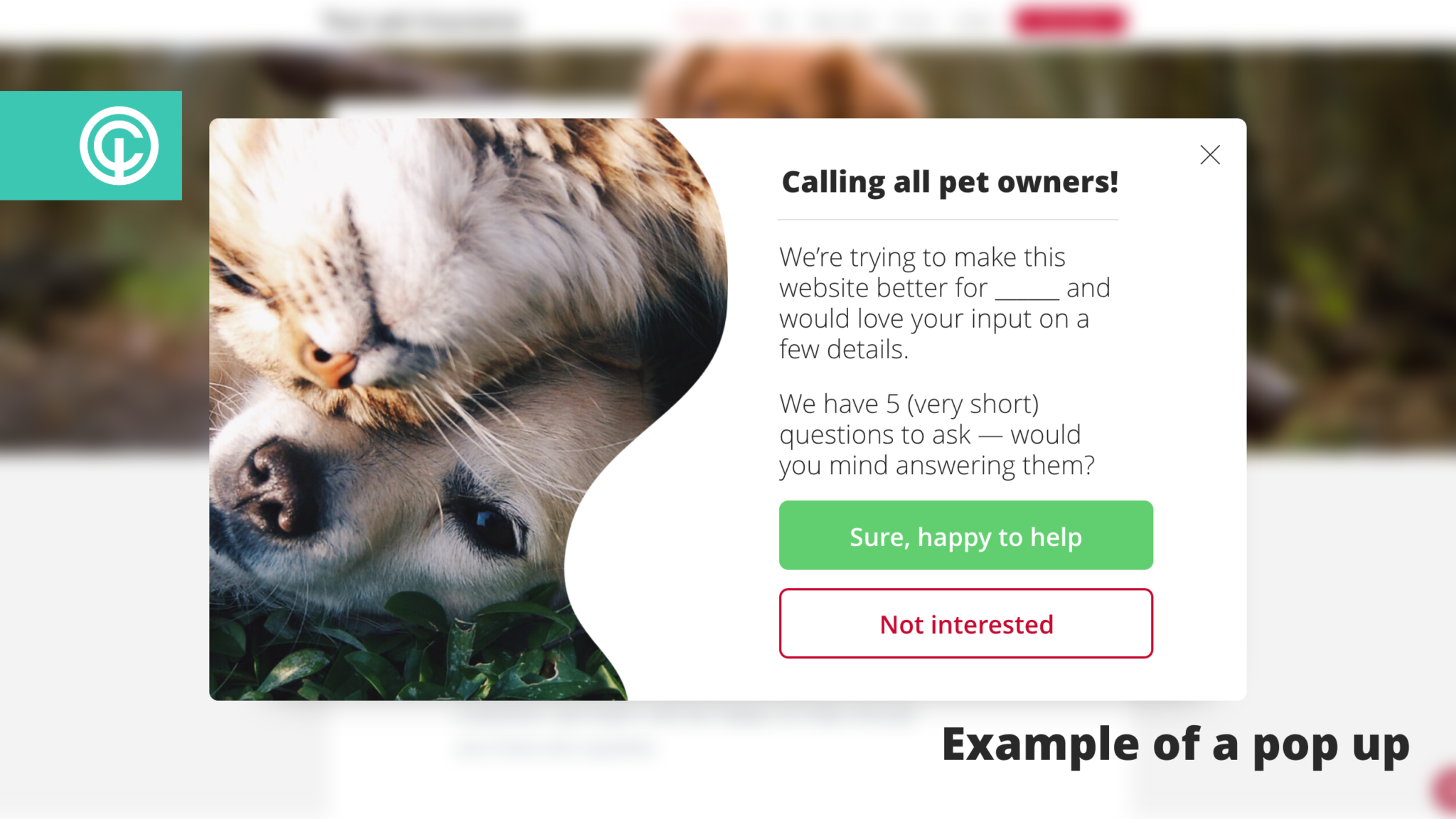 Example of pet insurance pop up
