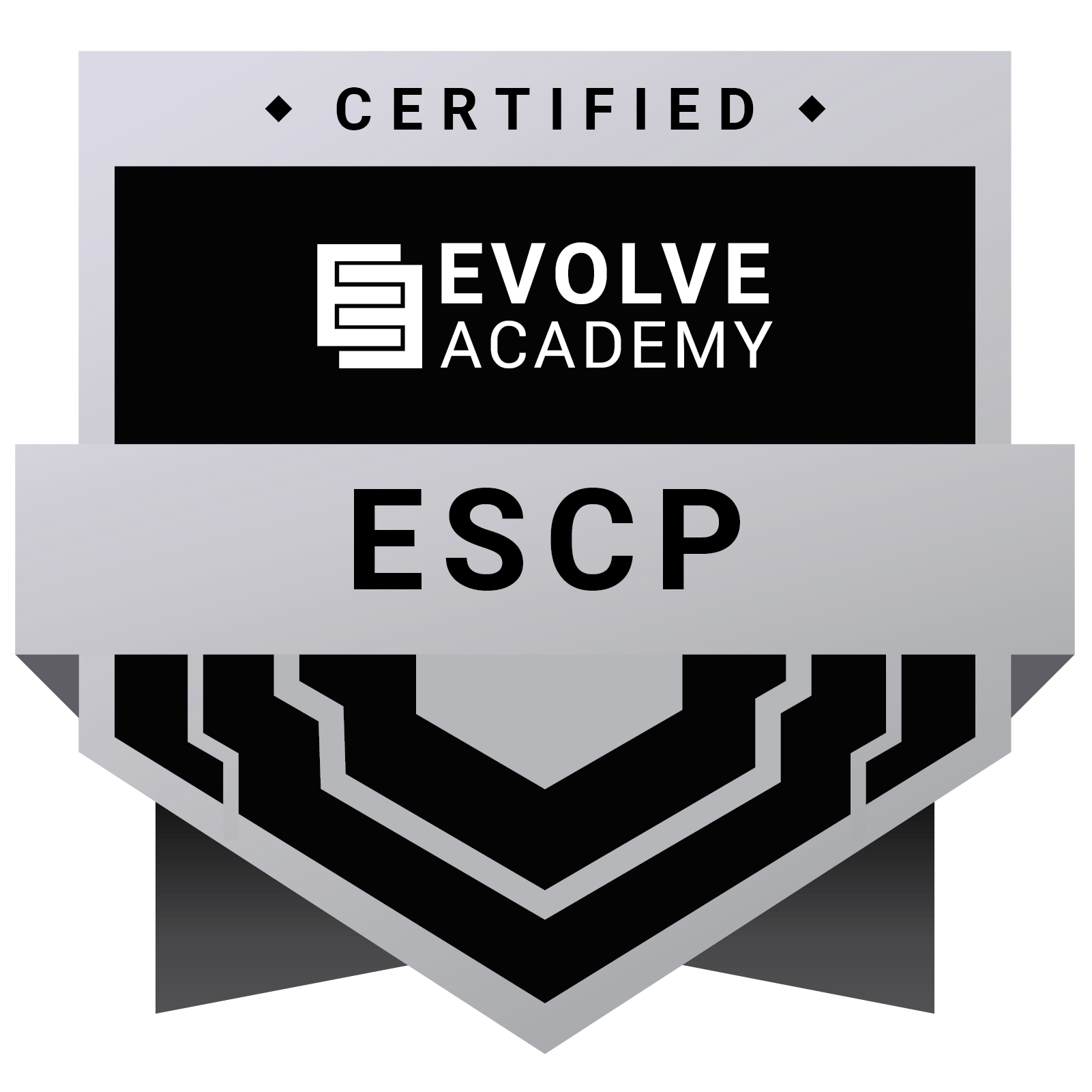 Evolve Security Certified Professional (ESCP)
