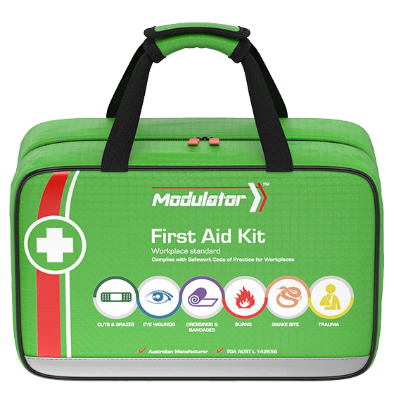 The Modulator – 4 Series Workplace Plus Kit