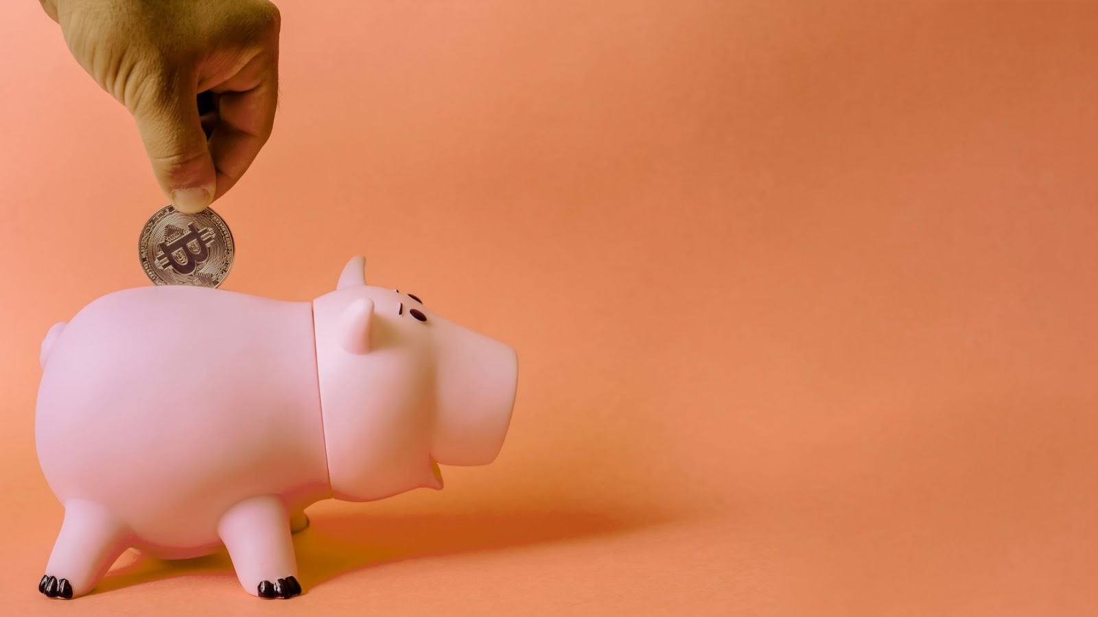 money pig