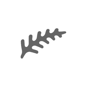 Fern