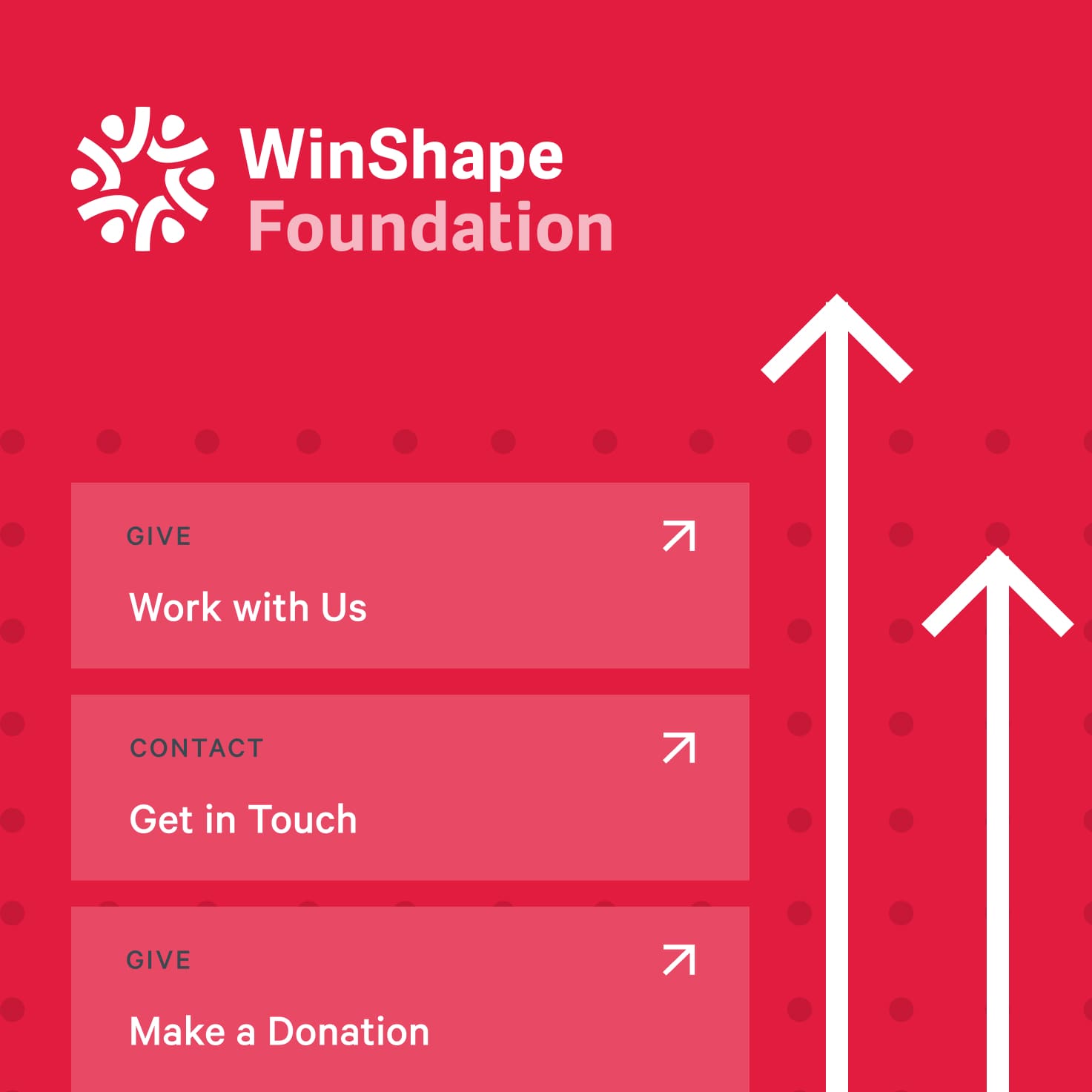 Collage of UI elements used on the Winshape Foundation site.