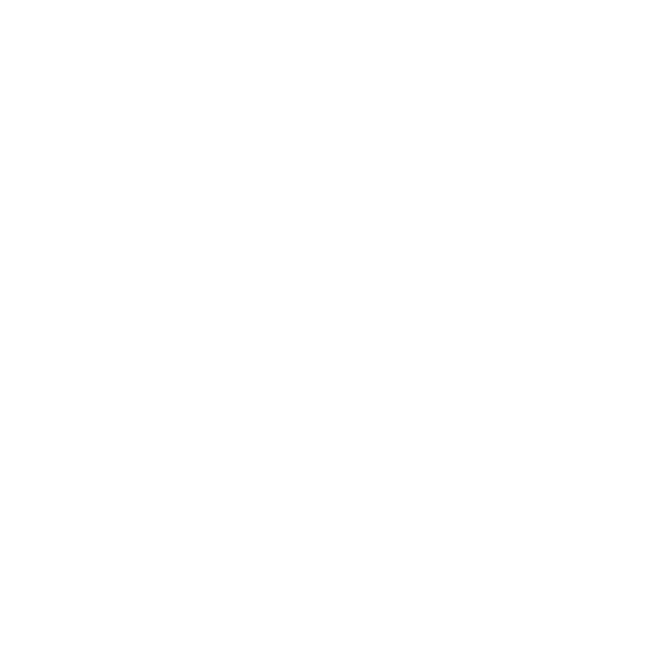 Swanndri logo