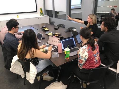 Mentoring for the Interaction Design Association