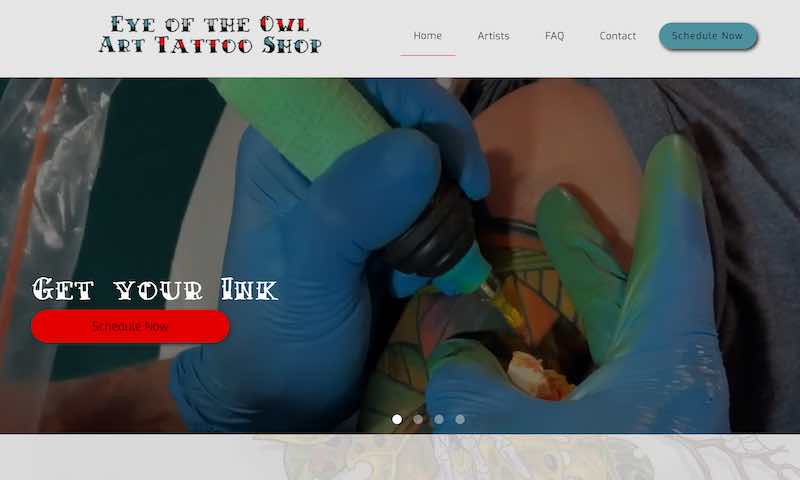 Screen shot of the eyeoftheowl.art website.