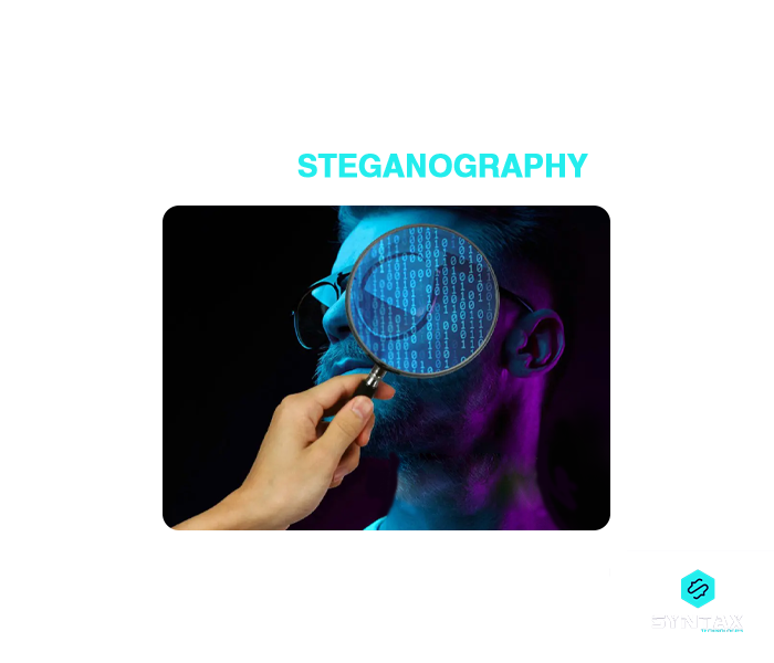 What is Steganography? Syntax Technologies