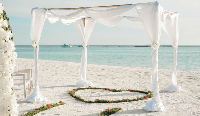 wedding-planning-coordinator