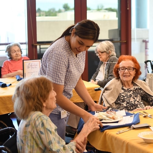 Shalom Park Nursing Home & Elder Community