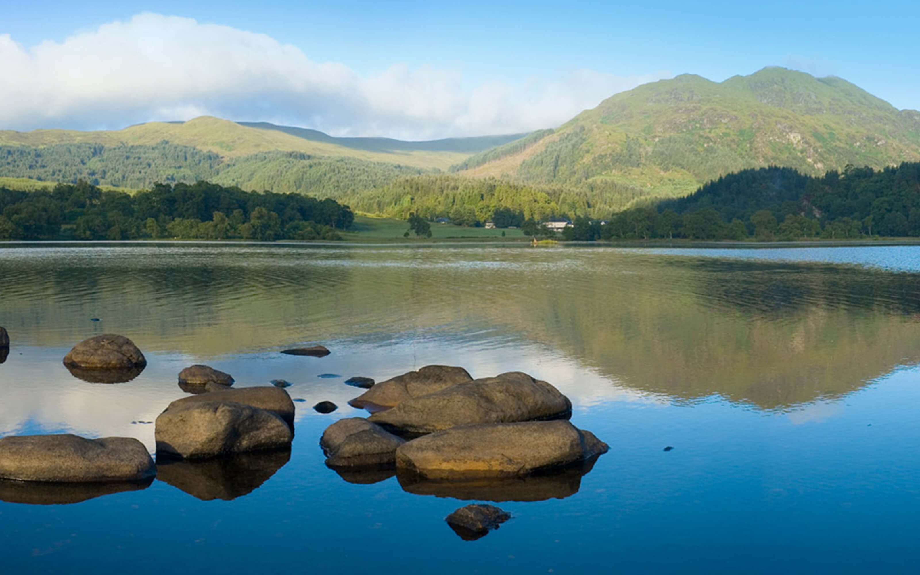 The waters edge of the Quarry Loch near the edge of the park.