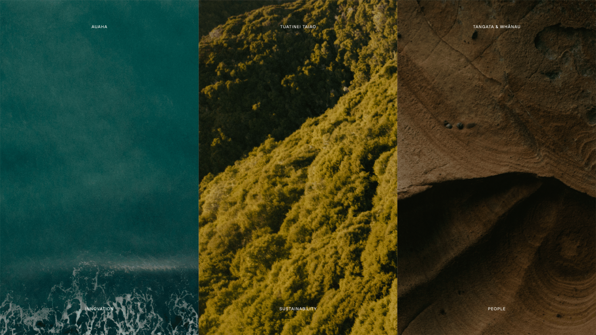 Waikēne branding ethos