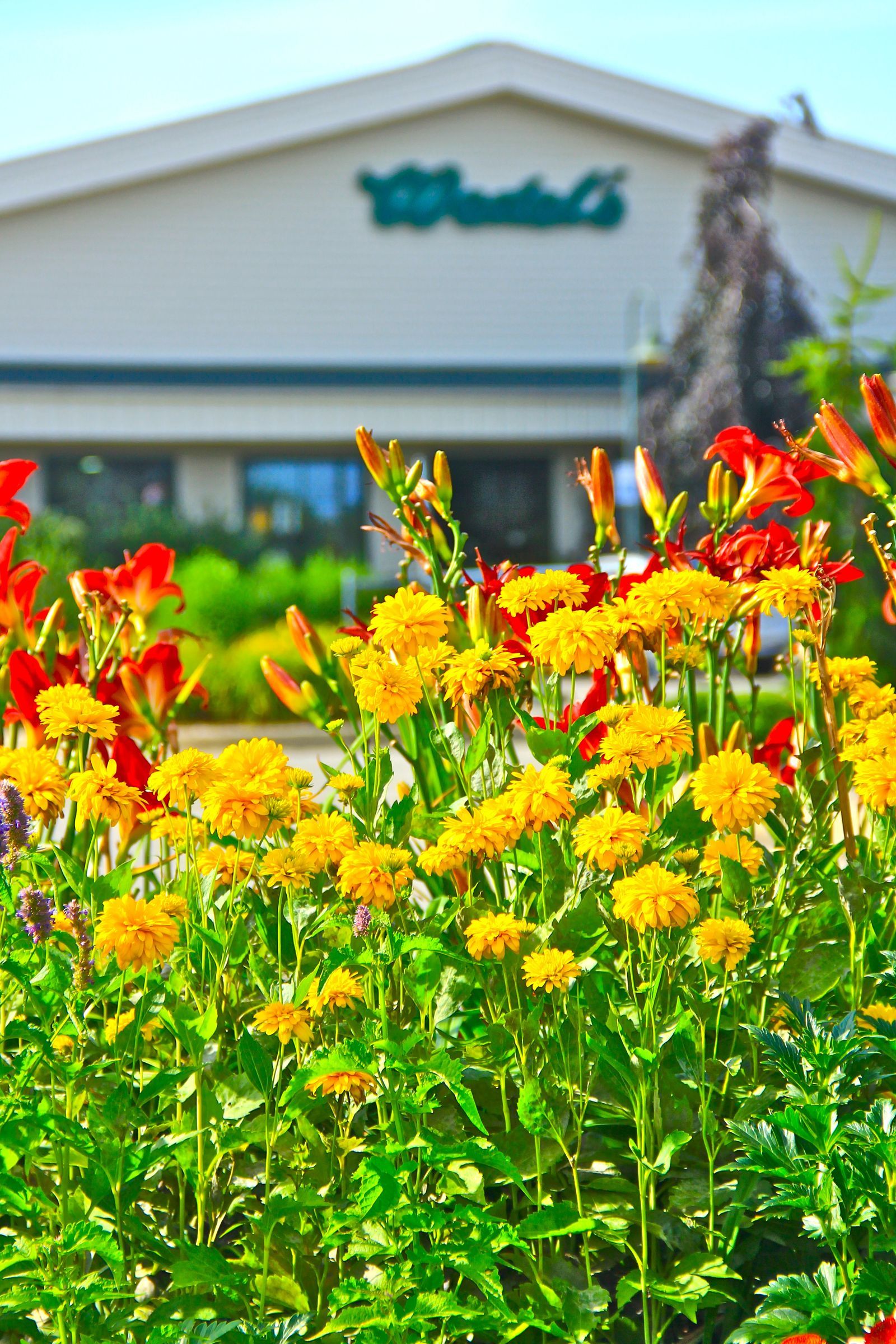 Wedel S Nursery Florist And Garden Center