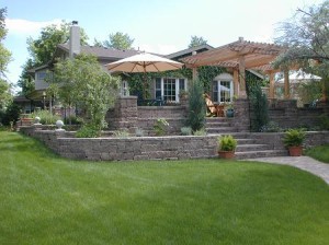 Beautiful Lawn