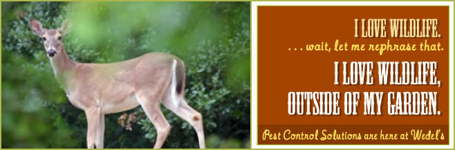 photoheader_animalcontrol