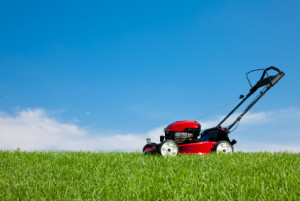 Wedels - Lawn and Mower