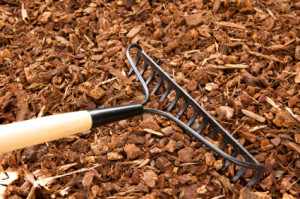 Rake Chips