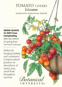 lizzano tomato