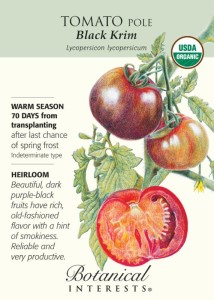 black krim tomato