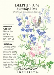 Delphinium-Butterfly-Blend