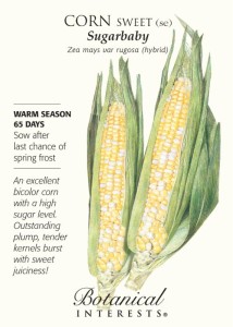 corn 2