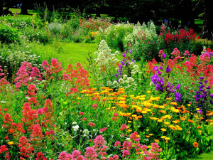 flower garden