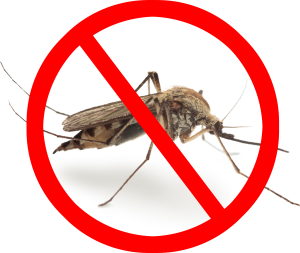 no_mosquito