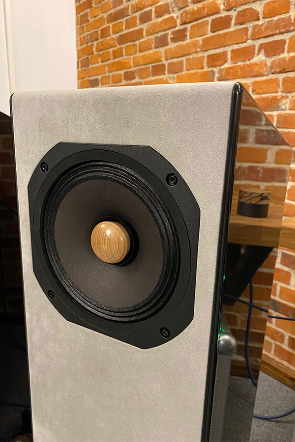Allegra EX with EMS LB8 EX field coil drivers