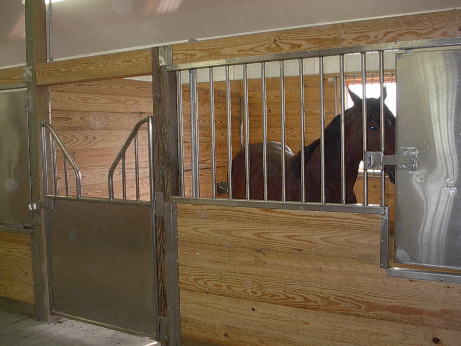 Horse Equipment Service Thorp Equipment