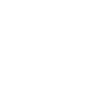 100% Vegan icon