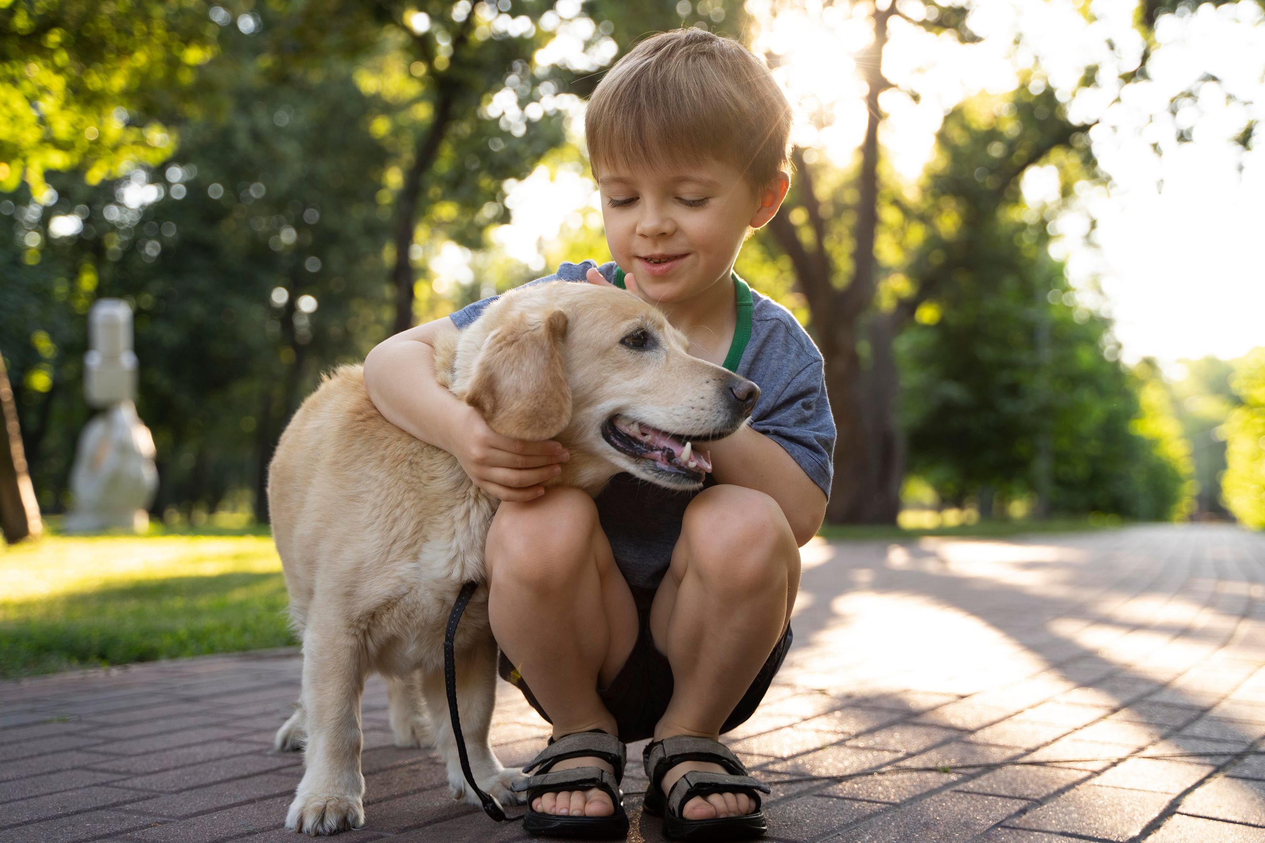 how-to-design-a-dog-park-park-n-play-design
