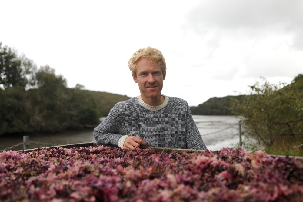 Tim van Berkel