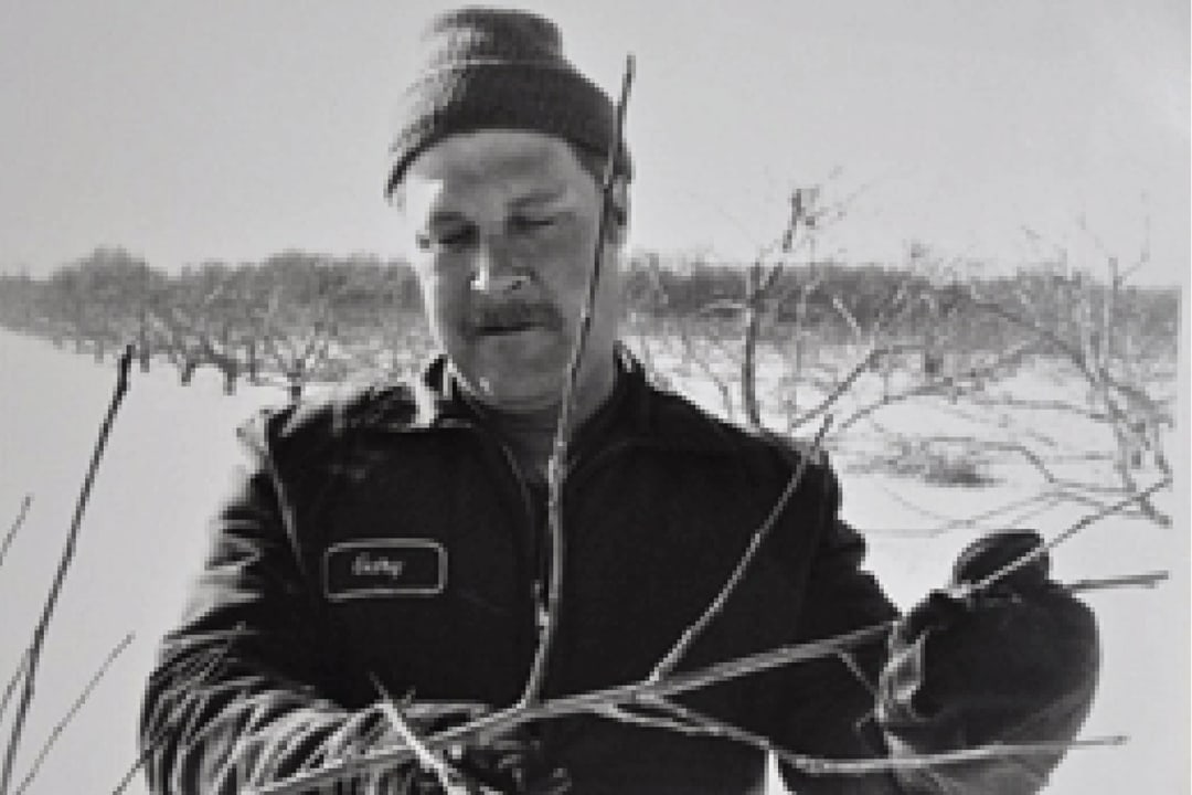 Chazy Orchards The Largest McIntosh Apple Orchard in the World!