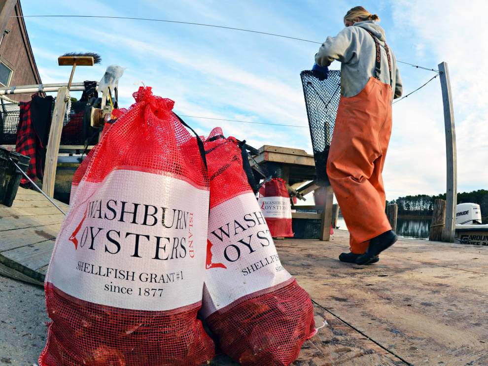About Cape Cod Oyster Company