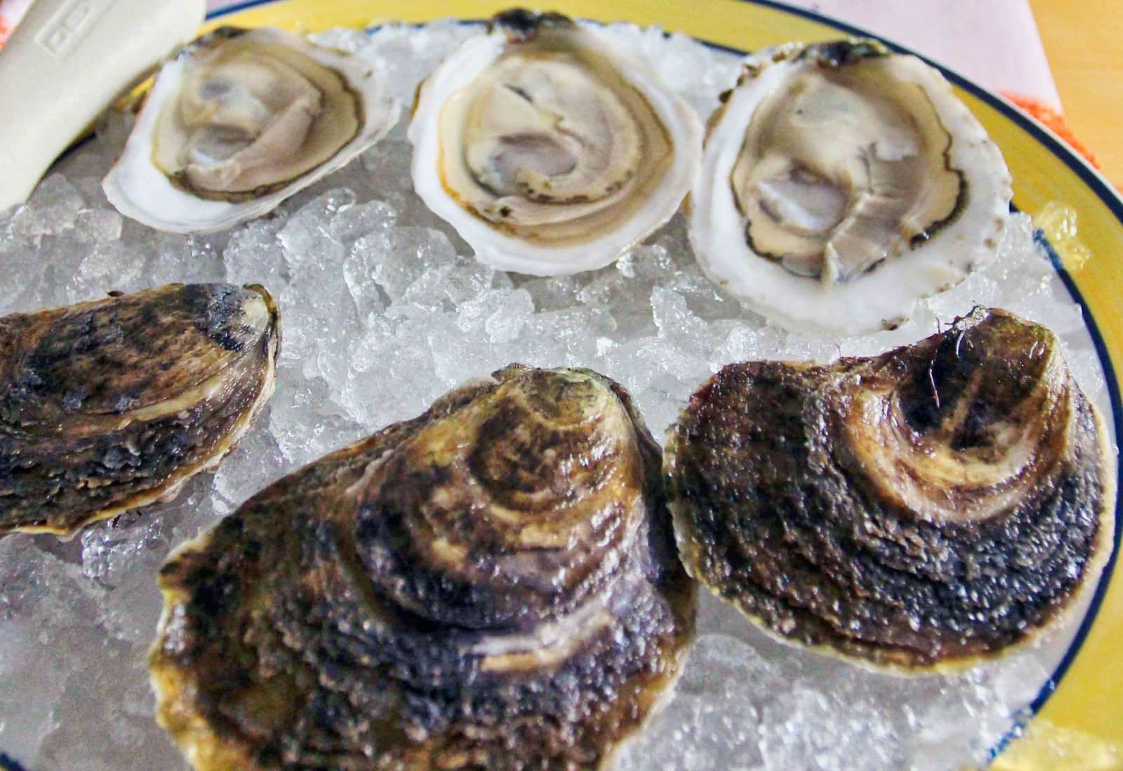 Boomamoto Oysters Cape Cod Oyster Company