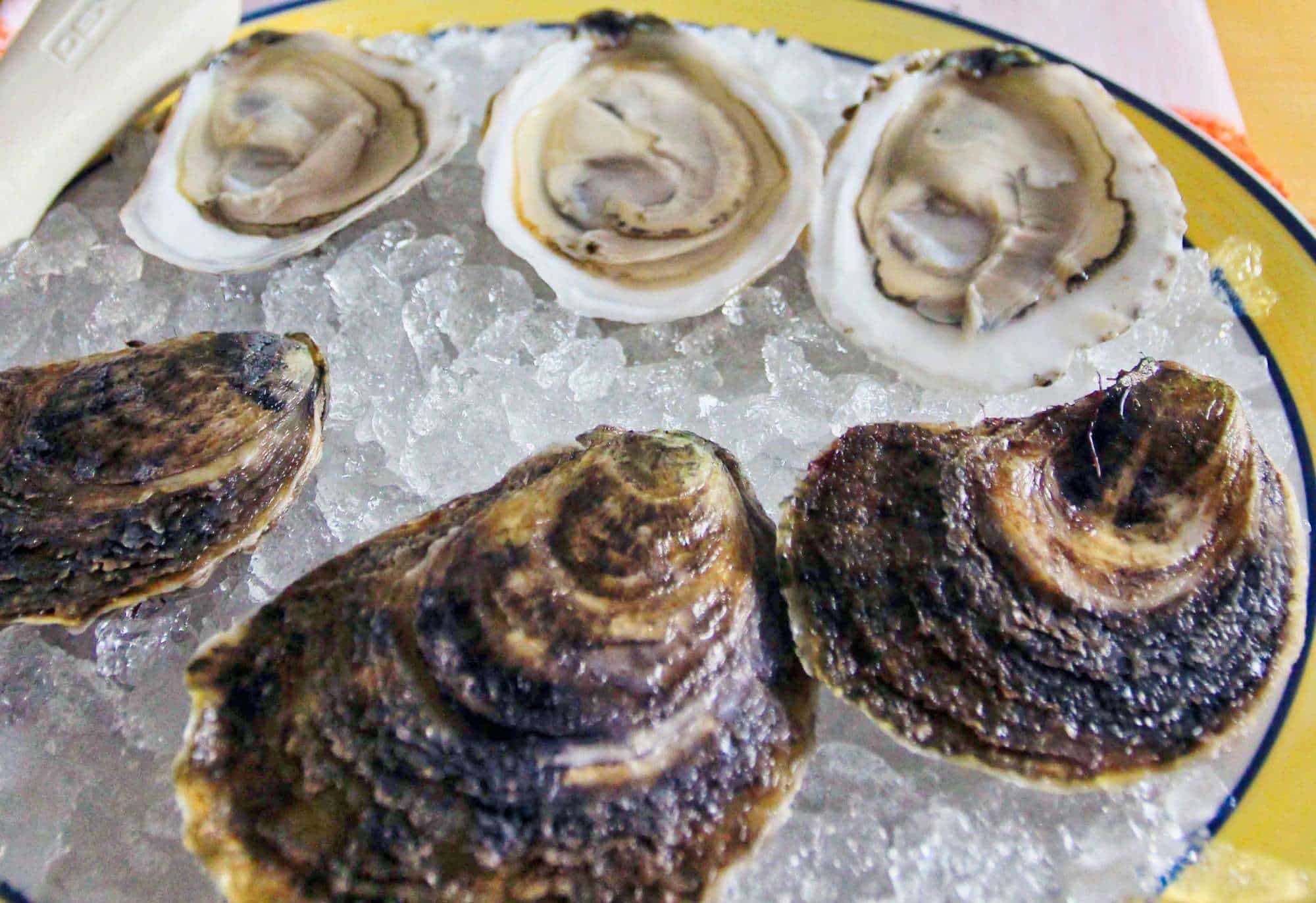 Boomamoto Oysters Cape Cod Oyster Company