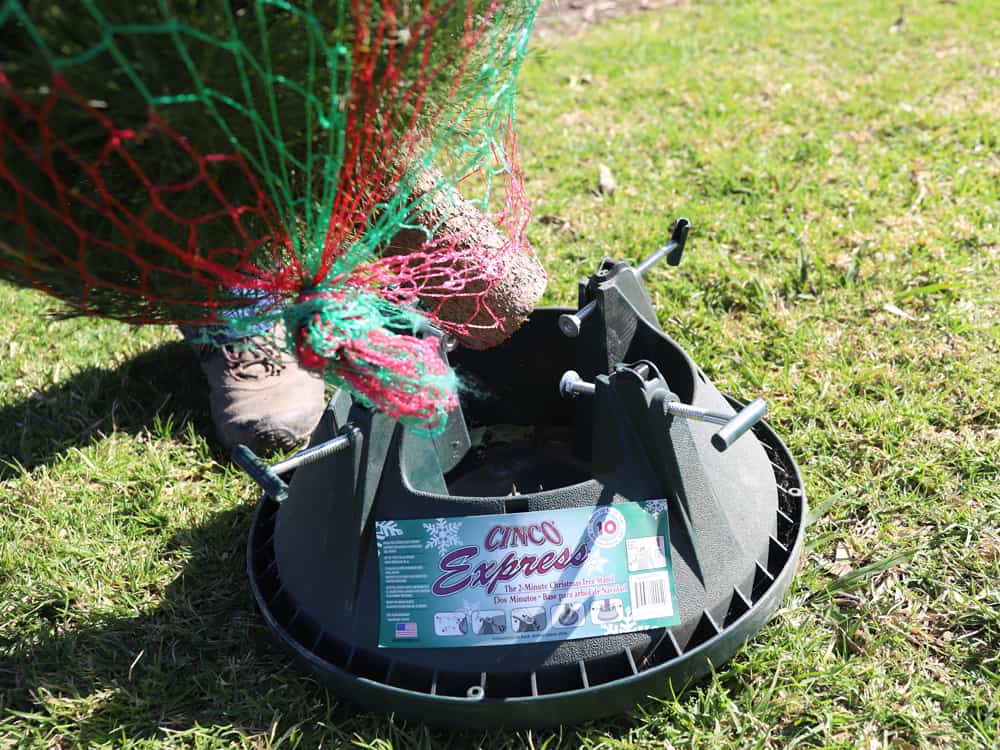 FAQs Dandenong Christmas Tree Farm