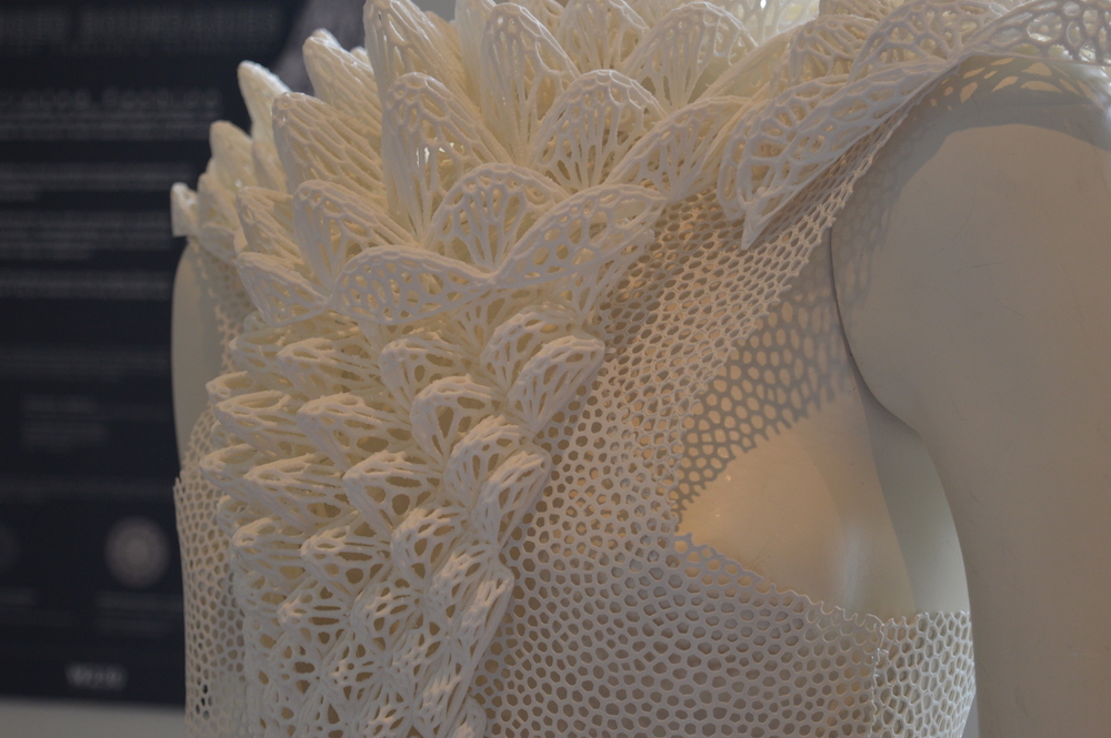 Blurred Boundaries - 3D printed dress