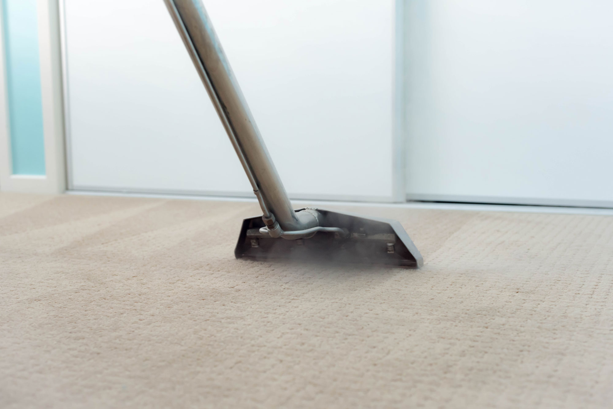 Professional Carpet Cleaning in Argyle, TX Lloyd Carpet Cleaning