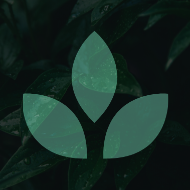 77 Eco Stuff