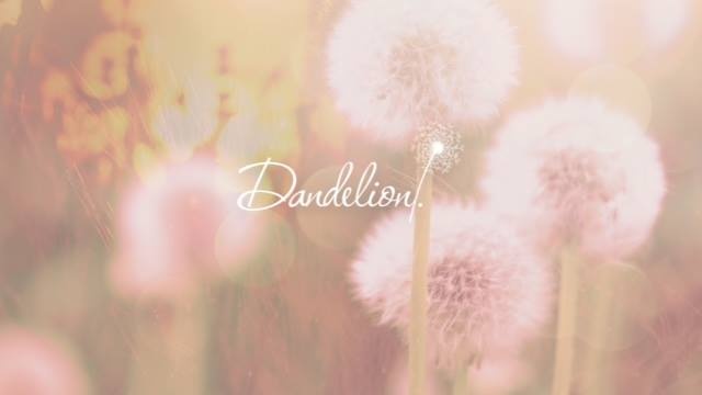 Dandelion