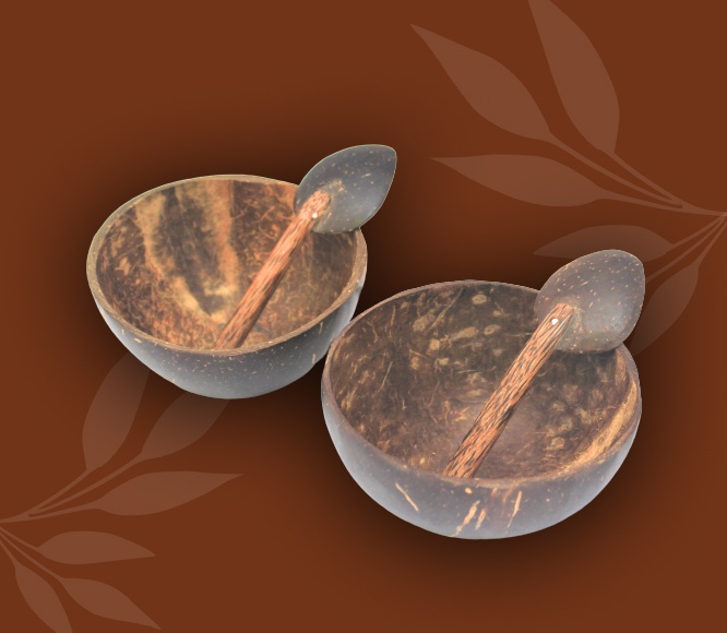Mini Coconut Bowl + Spoon