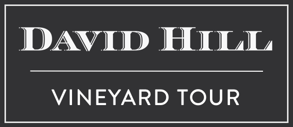 Black David Hill Logo with transparent background